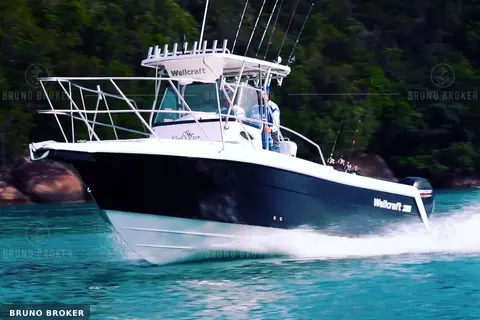 Wellcraft 275