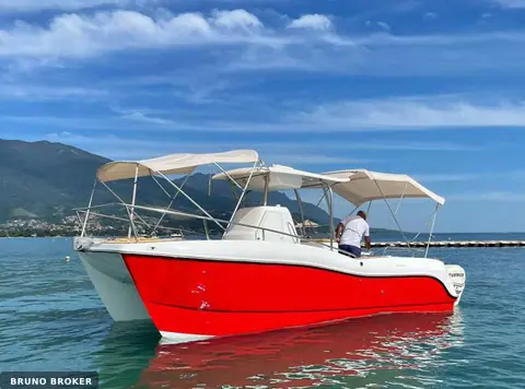 Thop Cat 265
