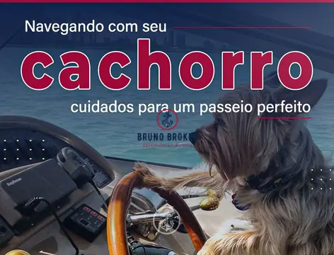 Navegando com seu Cachorro: Cuidados para um Passeio Perfeito